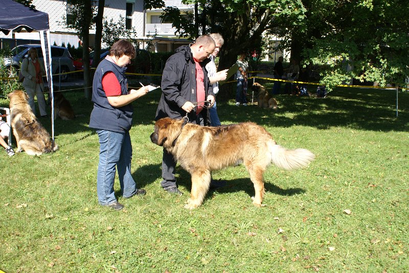 Nachzuchttreffen 08_08 036.jpg - Mäge mit Avalon
